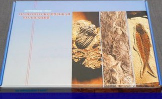 Коллекция "Палеонтологическая" (16 образцов) - fgospostavki.ru - Апрелевка
