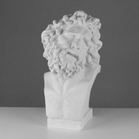 Бюст Лаокоона (гипс) - fgospostavki.ru - Апрелевка