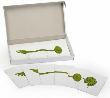 Модель-аппликация "Роль ядра в регуляции развития организма" (набор из 8 карт) - fgospostavki.ru - Апрелевка