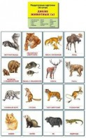 Раздаточные карточки "Дикие животные (2)" - fgospostavki.ru - Апрелевка