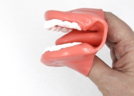 Муляж рта (мини) - fgospostavki.ru - Апрелевка