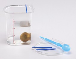 Сосуд Архимеда - fgospostavki.ru - Апрелевка