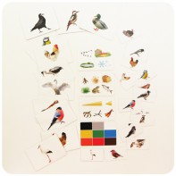 Набор магнитных карточек "Загадки-отрицания". Птицы - fgospostavki.ru - Апрелевка