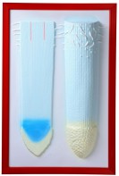 Барельефная модель "Клеточное строение корня" - fgospostavki.ru - Апрелевка