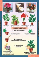 Комплект таблиц. Окружающий мир 1 класс. - fgospostavki.ru - Апрелевка