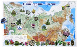 Магнитные карточки "Растения" - fgospostavki.ru - Апрелевка