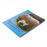 Коллекция "Шерсть и продукты ее переработки" - fgospostavki.ru - Апрелевка