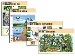 Комплект таблиц по биологии демонстрационных "Общая биология 2" (14 таблиц, формат А1, ламинированные) - fgospostavki.ru - Апрелевка