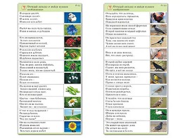Комплект карточек (10) "Обучающий калейдоскоп. Природа" - fgospostavki.ru - Апрелевка