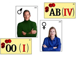 Модель-аппликация "Генетика групп крови" (ламинированная) - fgospostavki.ru - Апрелевка