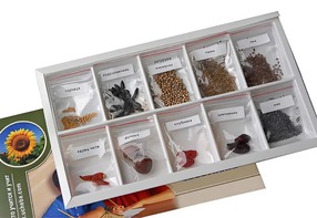 Коллекция "Плоды сельскохозяйственных растений" - fgospostavki.ru - Апрелевка