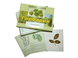 Гербарий "Дикорастущие растения" (30 видов, с иллюстрациями) - fgospostavki.ru - Апрелевка