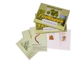 Гербарий "Основные группы растений. Грибы. Лишайники" (53 листа, с иллюстрациями и фотографиями) - fgospostavki.ru - Апрелевка