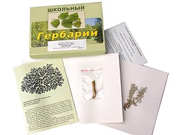 Гербарий "Водоросли. Грибы. Лишайники" (раздаточный) - fgospostavki.ru - Апрелевка