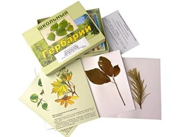 Гербарий "Жизненные формы цветковых растений" (раздаточный) - fgospostavki.ru - Апрелевка