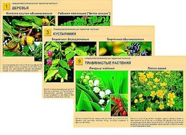 Гербарий фотографический "Ядовитые растения" - fgospostavki.ru - Апрелевка