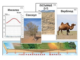 Модель-аппликация "Природные зоны" - fgospostavki.ru - Апрелевка