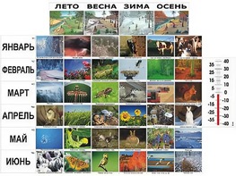 Фенологические наблюдения - fgospostavki.ru - Апрелевка