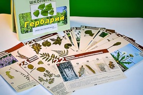 Гербарий к курсу основ общей биологии - fgospostavki.ru - Апрелевка