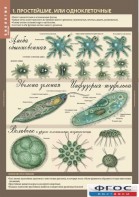 Комплект таблиц. Биология 7 класс. Животные. - fgospostavki.ru - Апрелевка