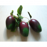 Ветка муляжей "Манго" - fgospostavki.ru - Апрелевка