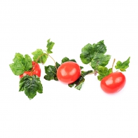 Ветка муляжей "Помидоры" - fgospostavki.ru - Апрелевка