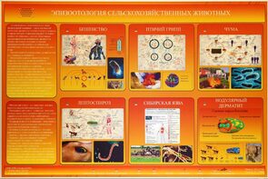 Электрифицированный стенд «Эпизоотология сельскохозяйственных животных» - fgospostavki.ru - Апрелевка