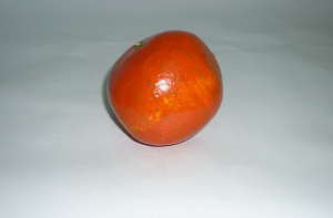 Муляж "Гранат" - fgospostavki.ru - Апрелевка