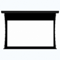 Экран настенный с электроприводом DSTPX-16915 - fgospostavki.ru - Апрелевка