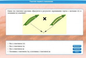 Интерактивные курсы. Биология 11 класс. Базовый. - fgospostavki.ru - Апрелевка