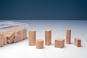 Игровой набор Фребеля "Конструктор" (50 элементов, бук, серия "Красота вокруг нас") - fgospostavki.ru - Апрелевка