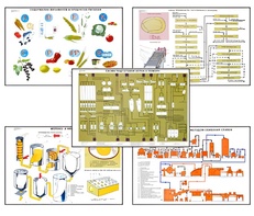 Плакаты ПРОФТЕХ "Сырье и материалы хлебопекарного производства" (20 пл, винил, 70х100) - fgospostavki.ru - Апрелевка