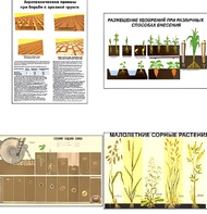 Плакаты ПРОФТЕХ "Агрономия" (5 пл, винил, 70х100) - fgospostavki.ru - Апрелевка