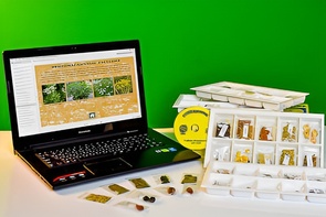 Коллекция натурально-интерактивная "Плоды сельскохозяйственных растений" - fgospostavki.ru - Апрелевка