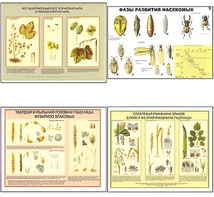 Плакаты ПРОФТЕХ "Вредители и болезни с/х культур и меры борьбы с ними" (11 пл, винил, 70х100) - fgospostavki.ru - Апрелевка