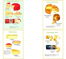 Плакаты ПРОФТЕХ "Ассортимент сыров" (9 пл, винил, 70х100) - fgospostavki.ru - Апрелевка
