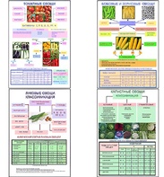 Плакаты ПРОФТЕХ "Классификация овощей" (11 пл, винил, 70х100) - fgospostavki.ru - Апрелевка