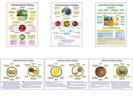 Плакаты ПРОФТЕХ "Плоды" (6 пл, винил, 70х100) - fgospostavki.ru - Апрелевка