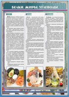 Стенд "Белки. Жиры. Углеводы" - fgospostavki.ru - Апрелевка