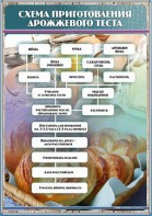 Стенд "Схема приготовления дрожжевого теста" - fgospostavki.ru - Апрелевка