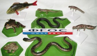 Комплект моделей "Позвоночные животные" (8 штук) - fgospostavki.ru - Апрелевка