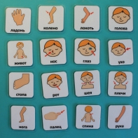 Набор карточек "Части тела" - fgospostavki.ru - Апрелевка