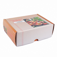 Набор муляжей грибов съедобных и ядовитых - fgospostavki.ru - Апрелевка