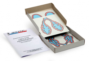 Модель-аппликация "Развитие легких позвоночных животных" (набор из 5 карт) - fgospostavki.ru - Апрелевка