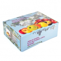 Набор муляжей "Дикая форма и культурные сорта яблок" - fgospostavki.ru - Апрелевка