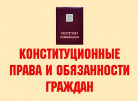 Комплект плакатов "Конституционные права и обязанности граждан" - fgospostavki.ru - Апрелевка