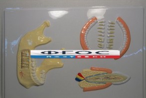 Модель барельефная "Челюсть человека" - fgospostavki.ru - Апрелевка