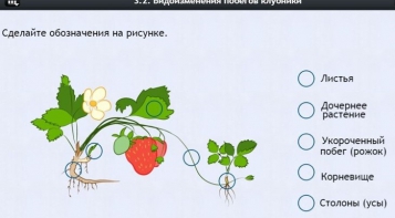 Интерактивные курсы. Биология 7 класс. Расширенный. - fgospostavki.ru - Апрелевка