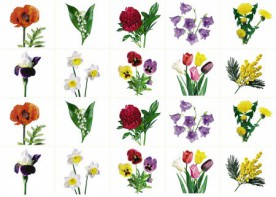 Комплект карточек "Запоминай, играй, считай" - Цветы - fgospostavki.ru - Апрелевка