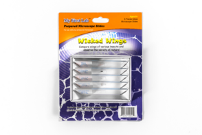 Набор микропрепаратов для микроскопа №5 «Насекомые» - fgospostavki.ru - Апрелевка